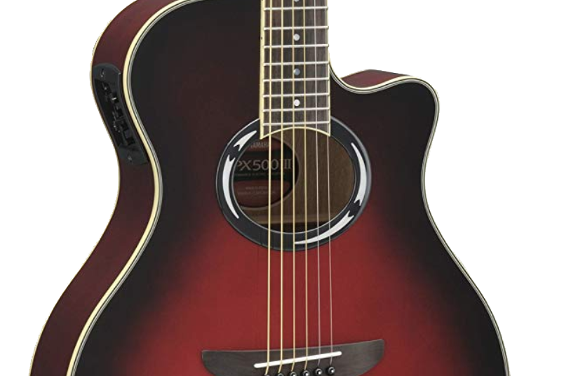 Sound hole insert in acoustic guitar